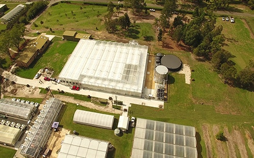 Greenhouse aerial shot