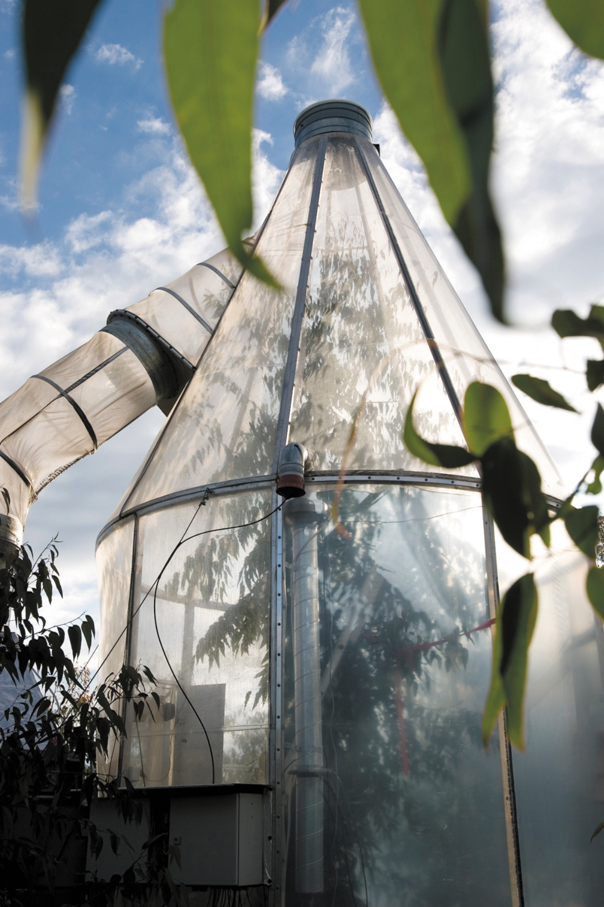 A whole tree chamber, at the Hawkesbury Institute for the Environment. 