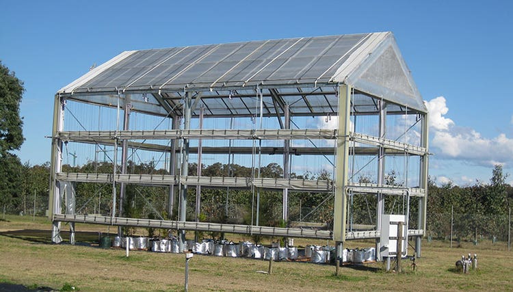 Large Rainout Shelter
