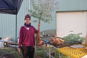 Harvest