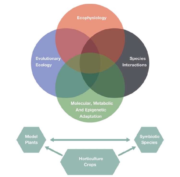 PAI Diagram
