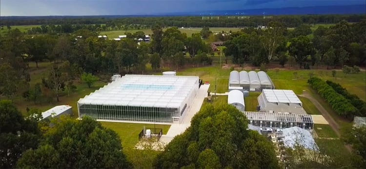 Aerial view of the NVPCC glasshouse on Hawkesbury campus