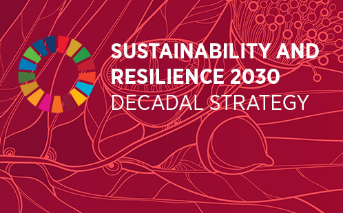 Our decadal strategy